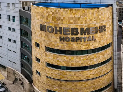 moheb-mehr-500x375